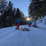 In Neustift Near Lift