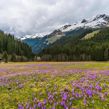 In Neustift Near Lift