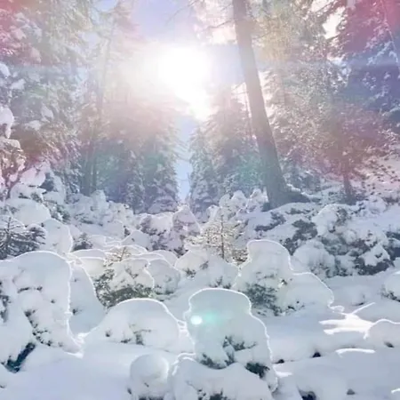 Appartement In Neustift Near Lift