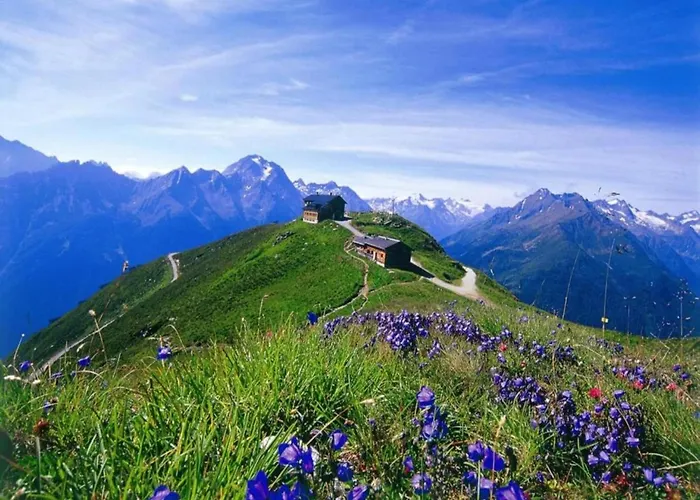 In Neustift Near Lift