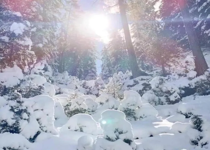 شقة In Neustift Near Lift